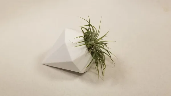 Pot à plante aérienne diamant 8 côtés