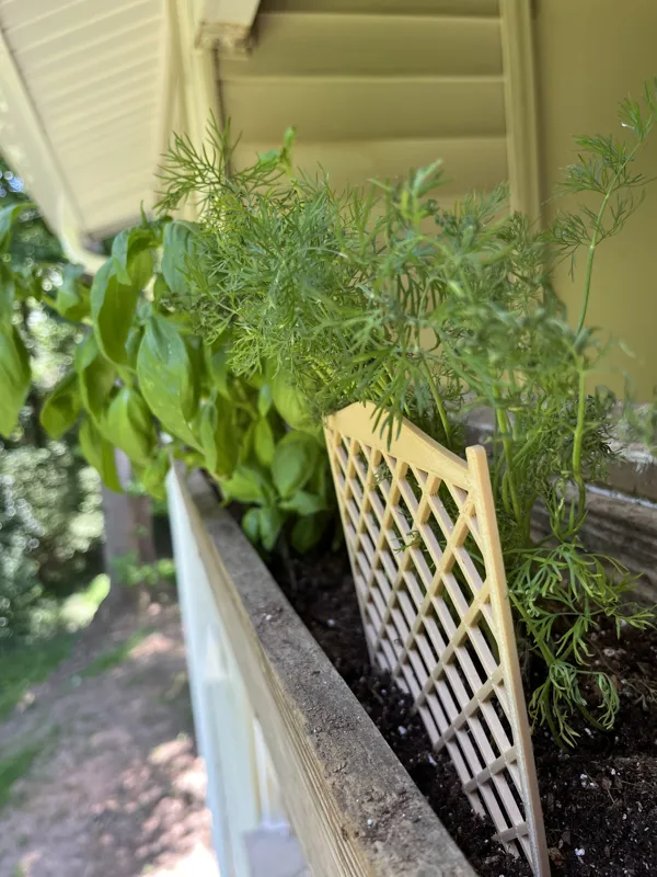 Miniature Lattice for Plant Support