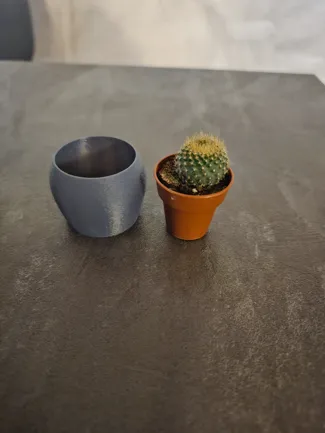 Vaso per piante grasse D38mm