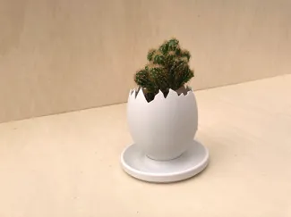 Egg Shell planter