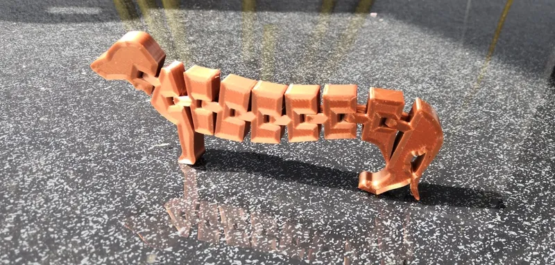 Flexi Dachshund