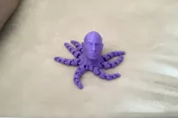 Rocktopus - poulpe façon Dwayne Johnson — photo 1