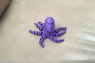 Rocktopus