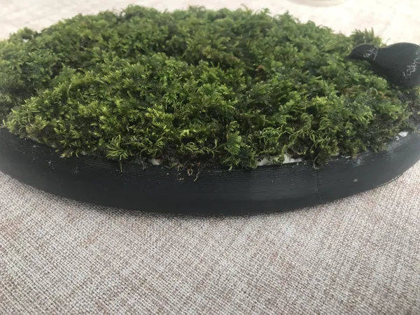 https://makerworld.bblmw.com/makerworld/model/DSM00000000420850/design/2024-04-09_ekz3u92hqw6v.jpg