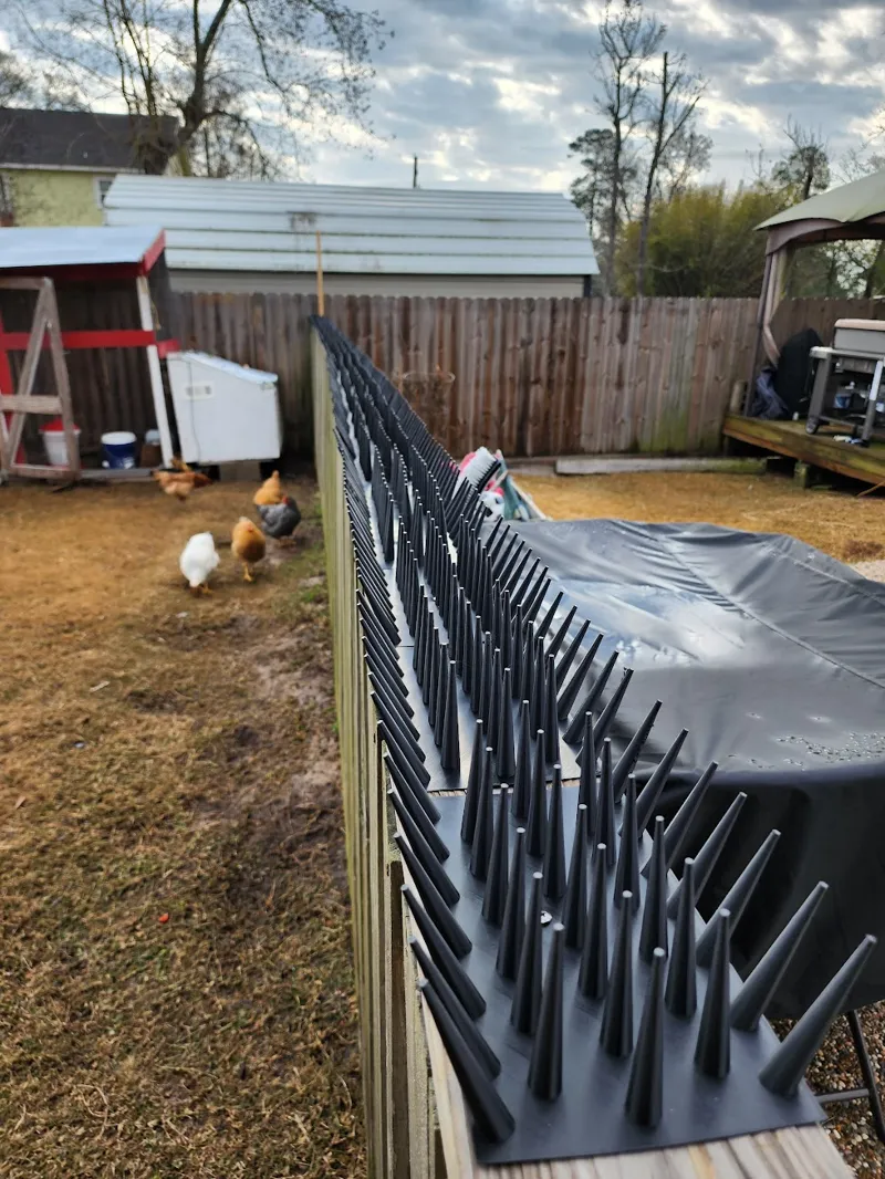 Bird Spikes for Wide Fence