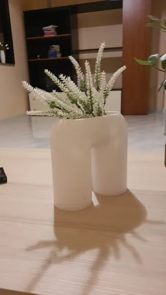 vaso 2 gambe
