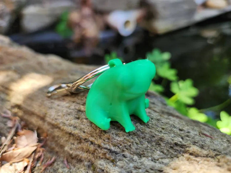 Fred the Froggy Keychain