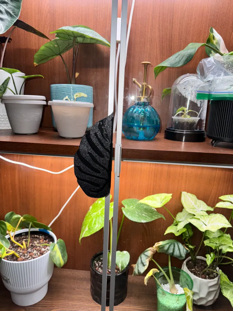 Monstera Leaf Cabinet Pulls