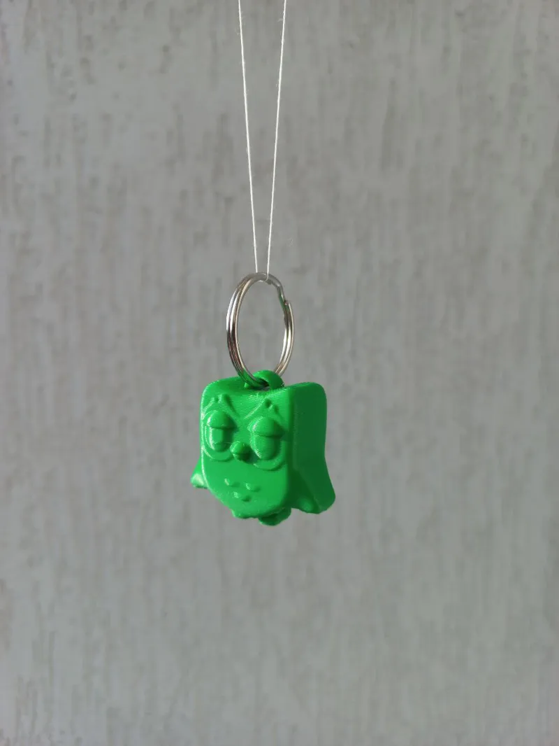 Duolingo bird keychain