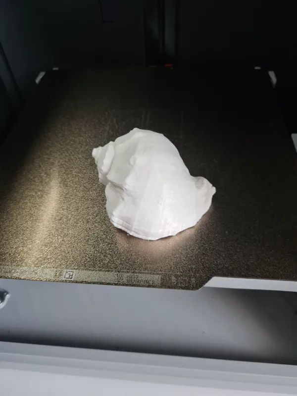 https://makerworld.bblmw.com/makerworld/model/DSM00000000425710/design/2024-04-15_fc84f74d89bd1.jpg