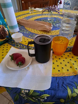 Mug Cap Replacement