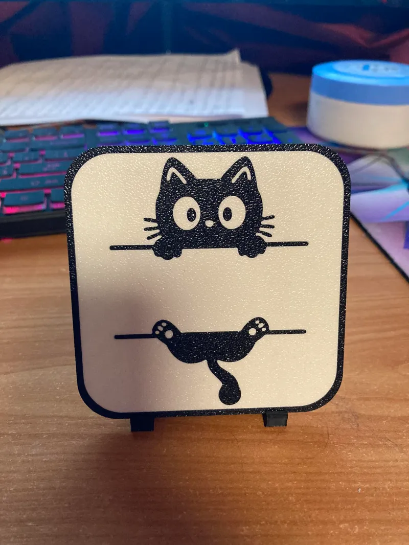 Kočka