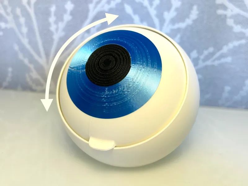 Eyeball Container