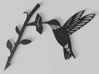 honey bird
