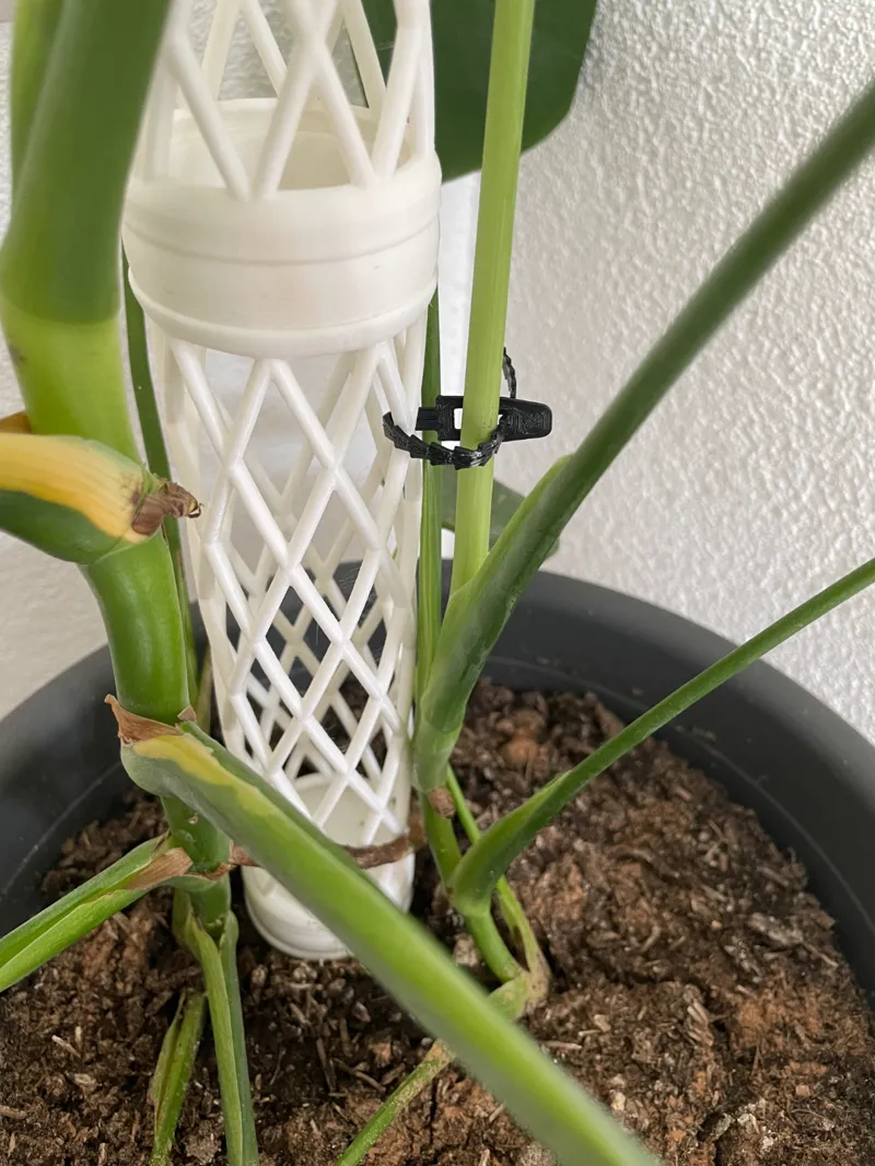 Reusable Ziptie