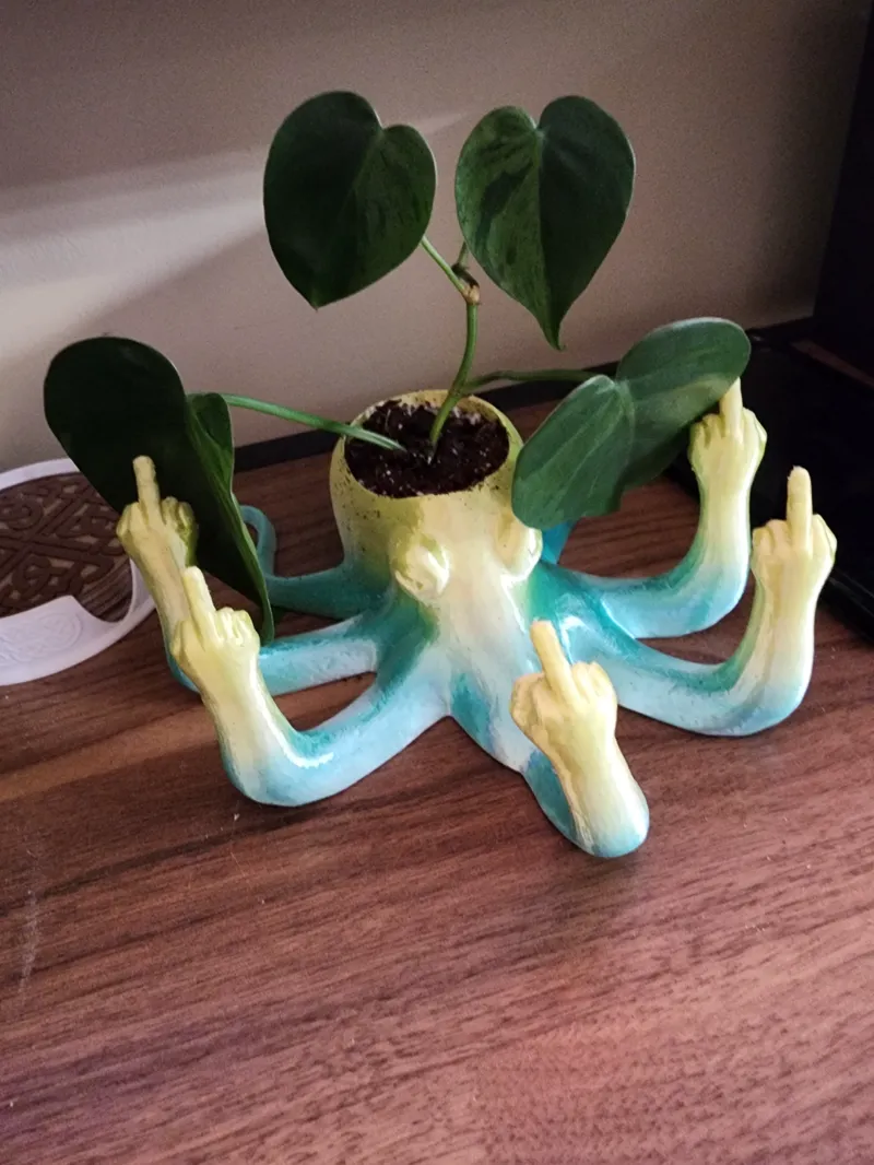 Rude Octopus planter with drain holes