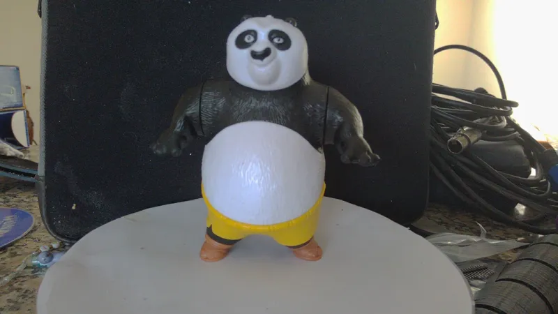 Panda KungFu