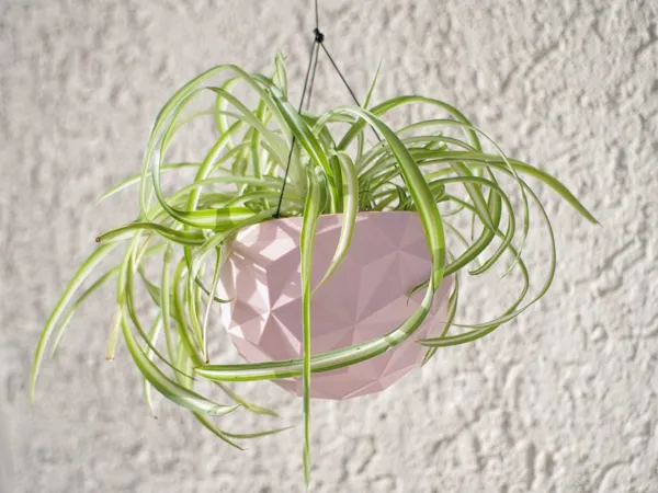 https://makerworld.bblmw.com/makerworld/model/DSM00000000429187/design/2024-04-15_7fc27obmanlo.jpg