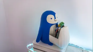 Penguin with storage