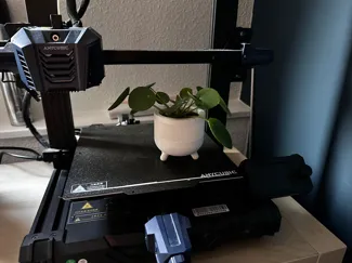 Small Flower pot