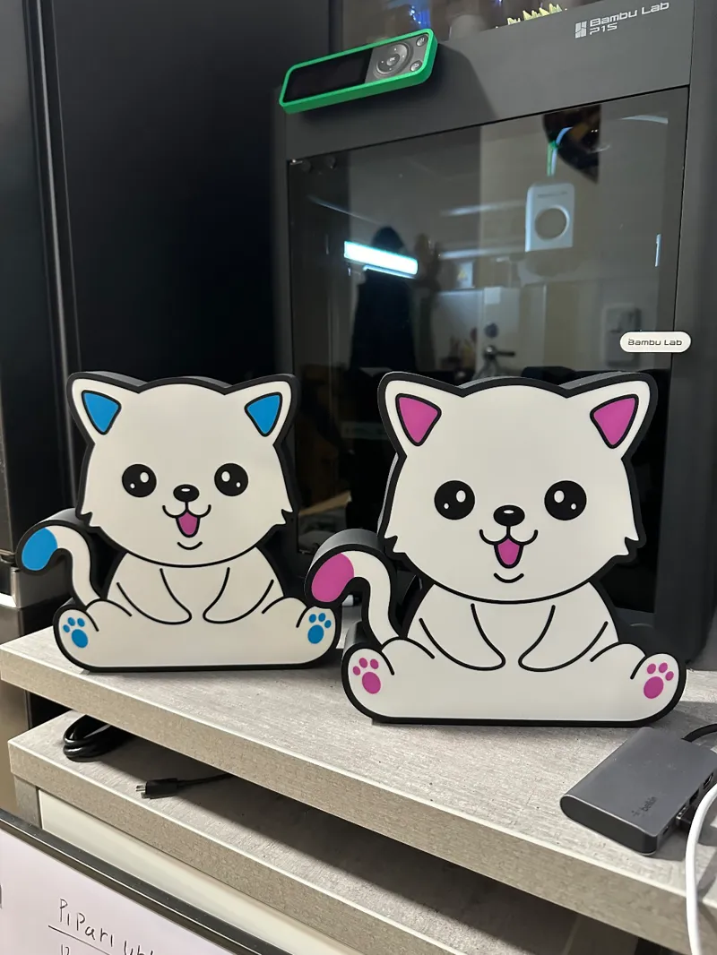 Cat lightbox