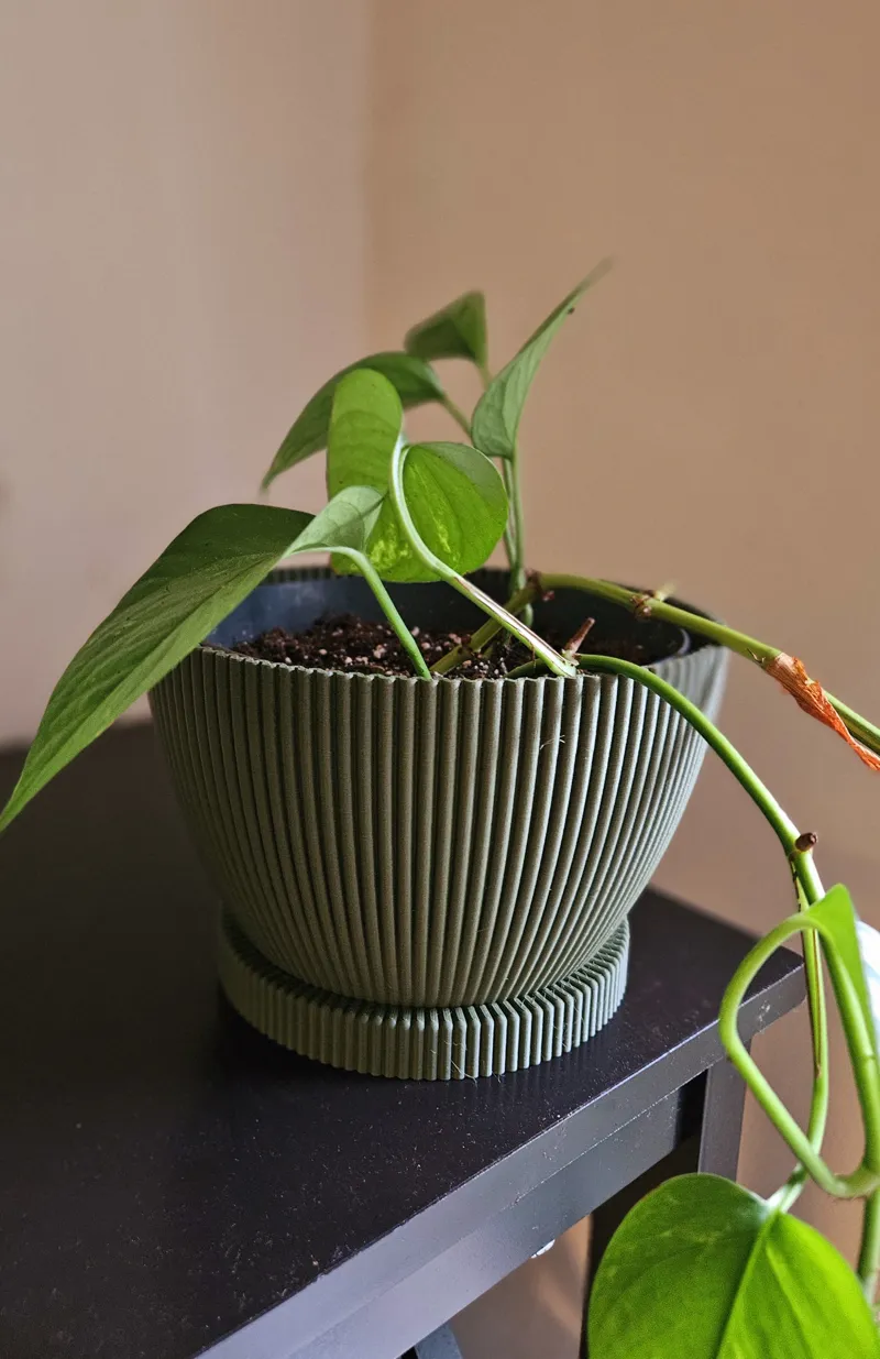 Wavey Planter