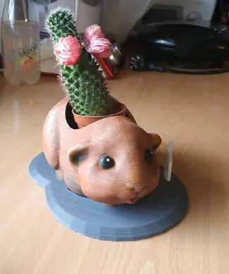 Guinea Pig Flower Pot