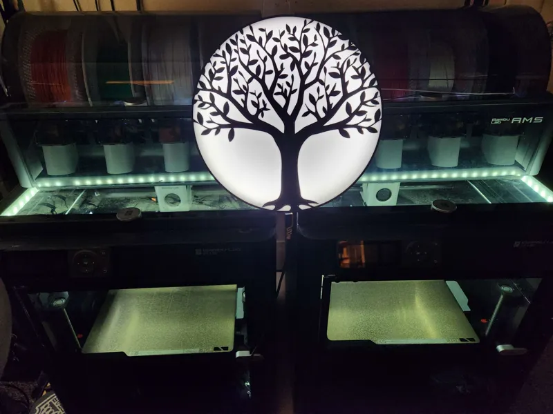 tree light box
