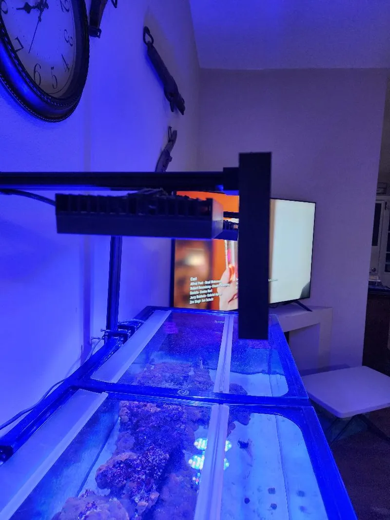 Fishtank light cover