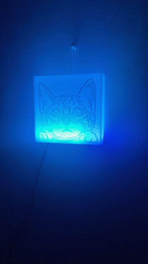 Cute Cat Light Box 