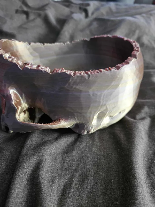 https://makerworld.bblmw.com/makerworld/model/DSM00000000432319/design/2024-04-17_591ad4db88c48.jpg