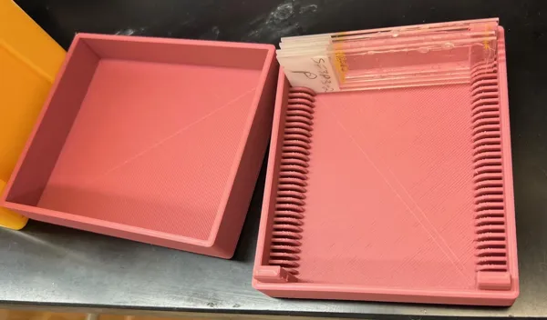 https://makerworld.bblmw.com/makerworld/model/DSM00000000432469/design/2024-04-17_dd156207f06a4.jpg