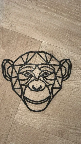 geometric monkey