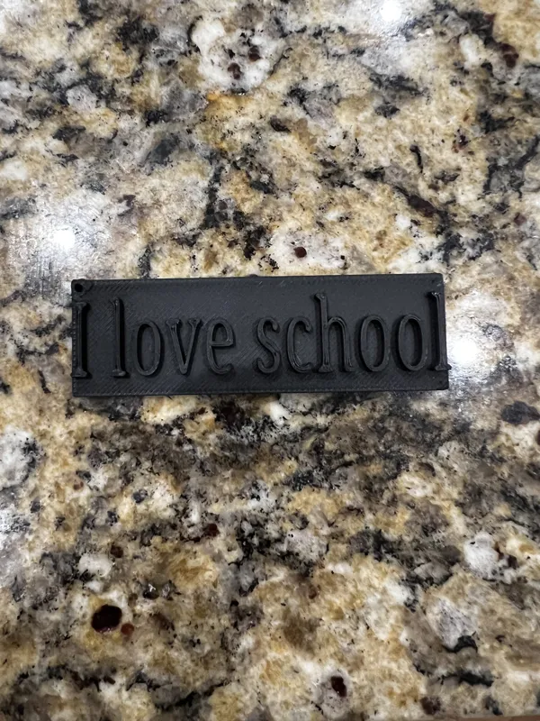 I love school tag