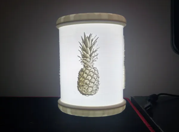 https://makerworld.bblmw.com/makerworld/model/DSM00000000433750/design/2024-04-08_e8slmeds0gu0.jpg