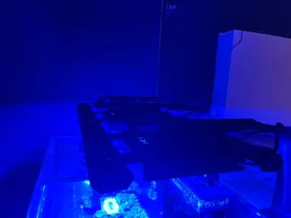 Reef Flare Bar Radion Mount