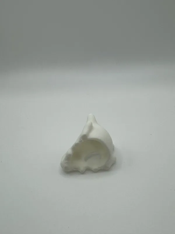 https://makerworld.bblmw.com/makerworld/model/DSM00000000435575/design/2024-04-19_2e47e4e26b981.jpg