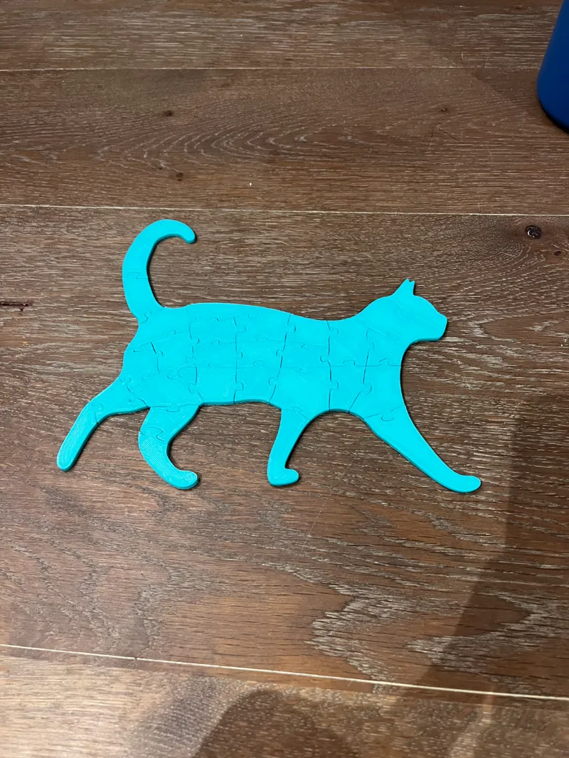 Cat Puzzle