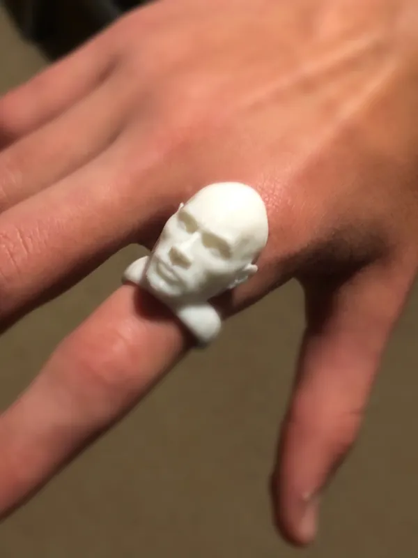 https://makerworld.bblmw.com/makerworld/model/DSM00000000437358/design/2024-04-20_142c8773725f8.jpg