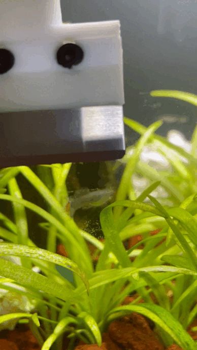小米鱼缸缸壁清洁刮刀 xiaomi fish tank cleaning 