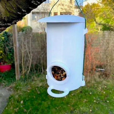 Feeder for small birds