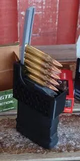Stripper clip