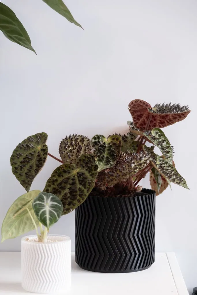 ZigZag vase mode flowerpot planter