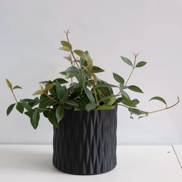 https://makerworld.bblmw.com/makerworld/model/DSM00000000440162/design/2024-04-23_4deqej450leb.jpg