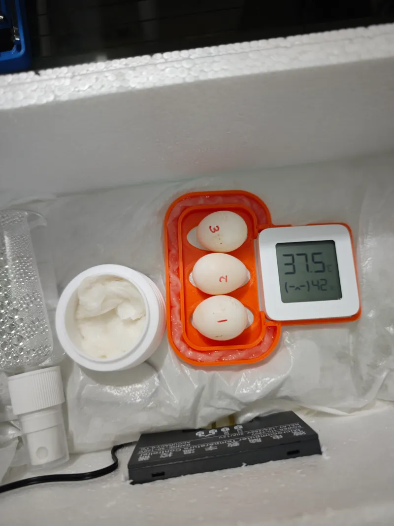 鹦鹉蛋孵化辅助盒