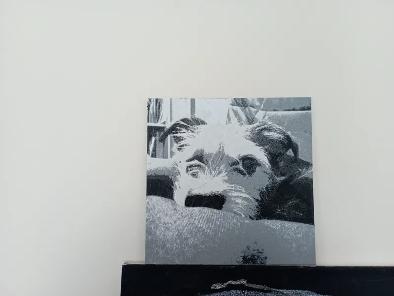 Dog HueForge