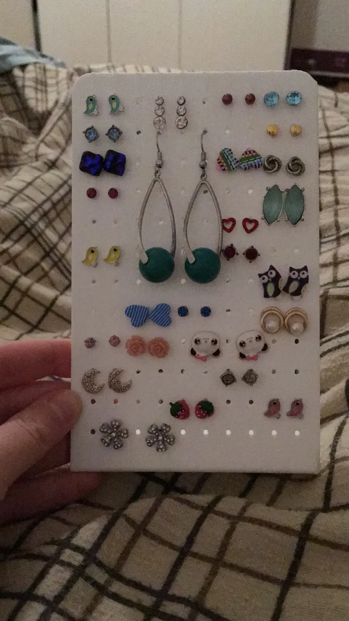 Earring holder