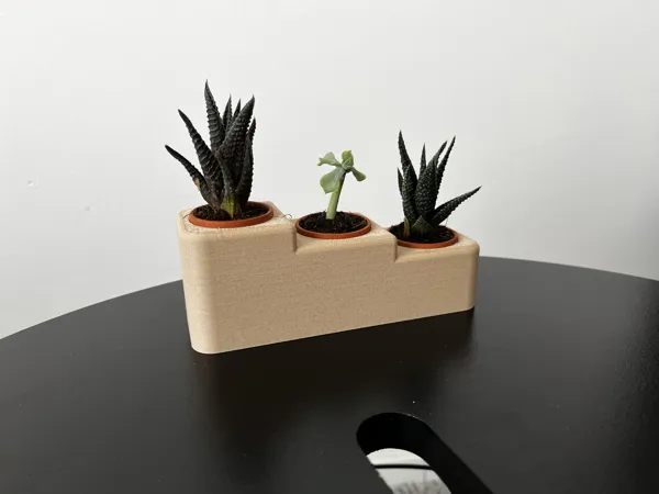https://makerworld.bblmw.com/makerworld/model/DSM00000000445259/design/2024-04-28_tho4sfwb8kng.jpg