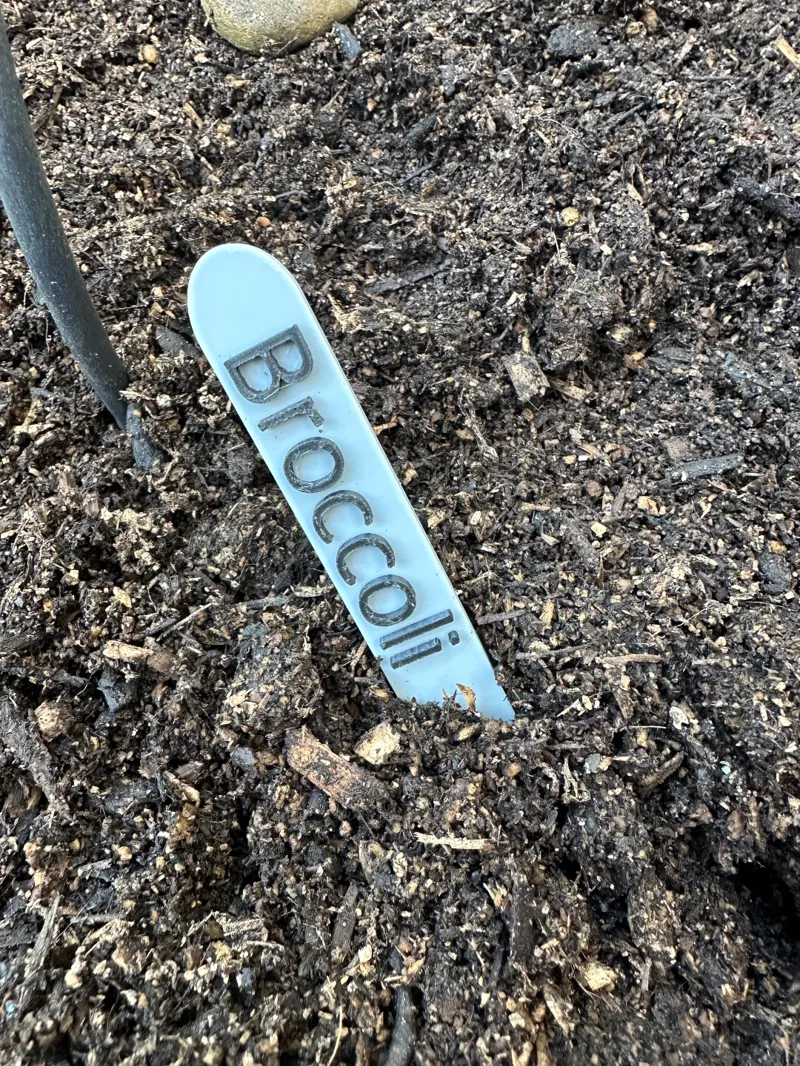 Custom Minimalistic Plant Tag/Label