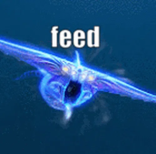 Feed Meeeeeeeeeeeeeeeeeeeeeeeeeeeee GIF - Feed Meeeeeeeeeeeeeeeeeeeeeeeeeeeee Ghost Leviathan GIFs